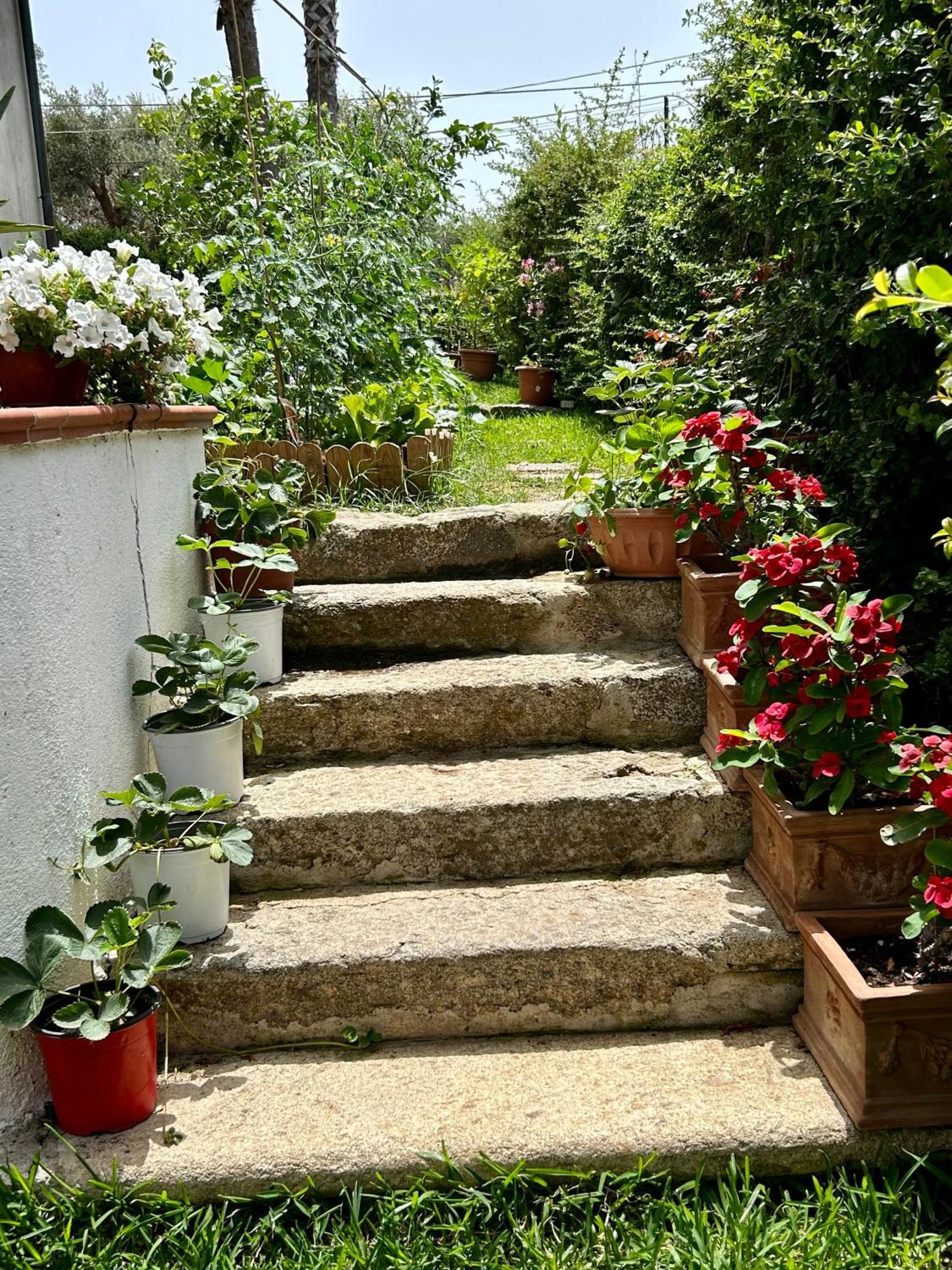 Alto Giardino Leilighet Zambrone Eksteriør bilde
